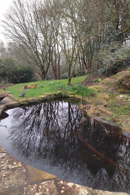 Modern Country Villa, Stunning Gardens And View Royal Tunbridge Wells Bagian luar foto