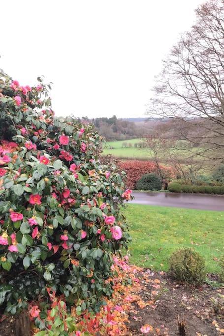 Modern Country Villa, Stunning Gardens And View Royal Tunbridge Wells Bagian luar foto